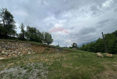 Teren 2,000mp Copalnic-Manastur / Strada Principala - 4