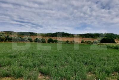 Teren de 27500 mp, în Răscruci