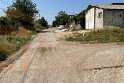 Hala situata in Ovidiu - 20