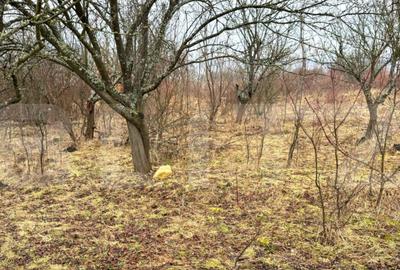 Teren de 2900 mp, în Central - 16