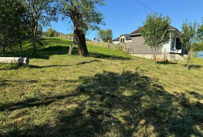 Casă cu 3 camere în Lepșa - 4