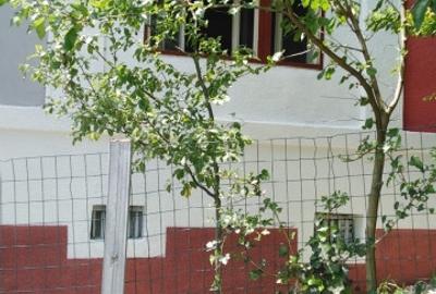 Casa 5 camere cu teren de 1200mp spre vanzare in Ludos jud Sibiu - 12