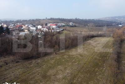 Teren de 3470 mp, în Ocnița - 8
