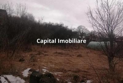 Casă cu 3 camere cu Teren 3040 Mp în Ceanu Mic - 3