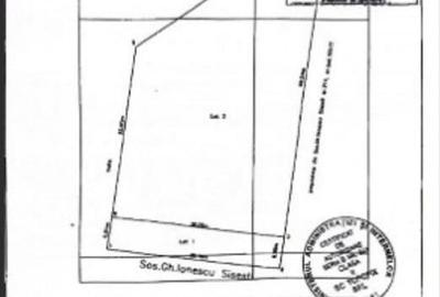 Sisesti Stradal 1959 mp New 2025 - 1