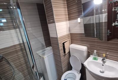 Garsoniera luminoasa 1 min M Gara De Nord DB1427 - 6