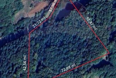 Teren Construcții intravilan de 4985 mp, în Sascut - 18