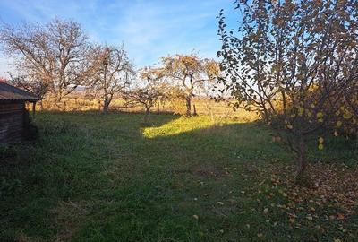 Casă individuală cu 2 camere cu Teren 400 Mp în Capu Câmpului - 5