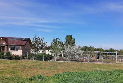 Apartament cu 2 camere decomandat în Misleanu - 2