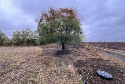 Teren intravilan 1700 mp de vanzare Polcesti  Strada Crangului - 4
