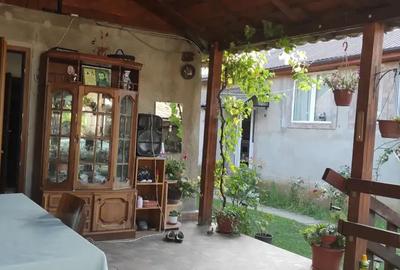 Casa de vanzare in Secaseni - 4