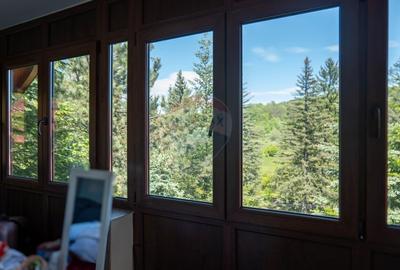 Vanzare casa de vacanta, Slanic Prahova - 25