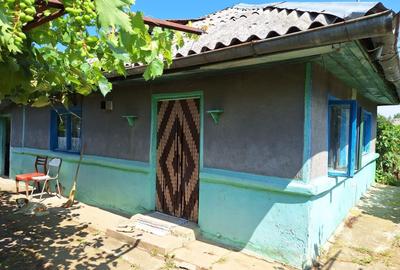 Spațiu comercial, în Periș - 6