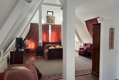 Casă cu 11 camere în Horodnic - 6