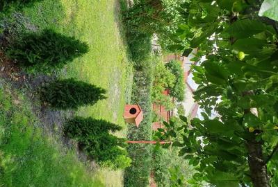 Casă cu 6 camere cu Teren 939 Mp în Central - 1