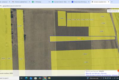 Eforie Sud faleza primul lot la mare 2500mp 65000eur - 5