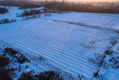 Teren de 11412 mp, în Șag - 2