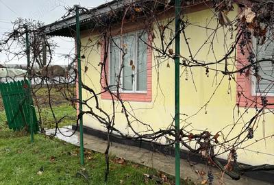 Casa batraneasca cu anexe si teren in Viisoara, intravilan - 1