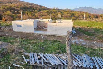 Casă cu Teren 800 Mp în Livezile - 4