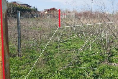 Teren intravilan Crevedia - 2