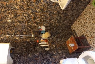 Inchiriez casa cu curte - 2