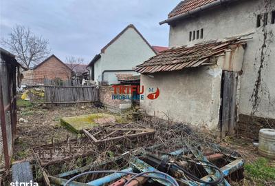 Casă cu 5 camere cu Teren 1651 Mp în Bărăbanț - 12