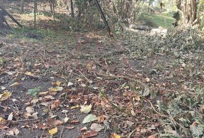 CASĂ DE VÂNZARE 2 CAMERE\ ZĂVOI\ JUD. CARAȘ-SEVERIN - 5