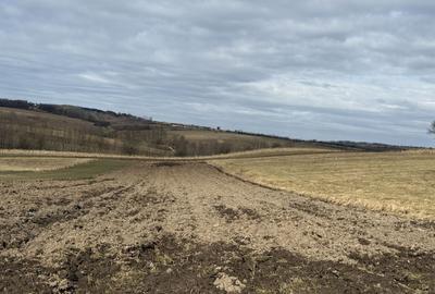 Teren Construcții intravilan de 1556 mp, în Horodnic de Jos - 2