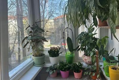 Apartament cu 2 camere semidecomandat, mobilat în Aradului - 13