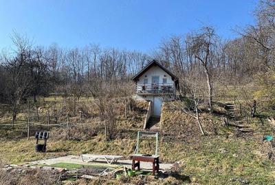 Casă cu Teren 7800 Mp în Ibănești - 7