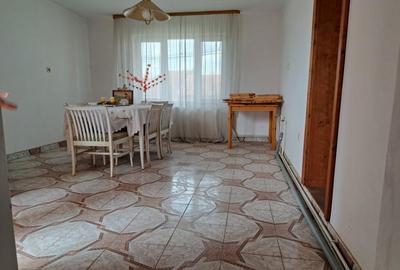 Casa mare cu 2 spatii comerciale, in Faget - 15