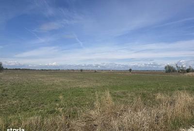 Spațiu comercial, în Nejlovelu - 3