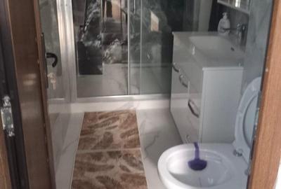 Apartament cu 2 camere decomandat în Doamna Ghica - 18