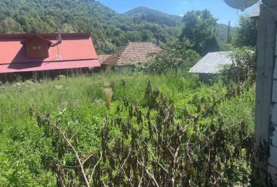 Casă cu 3 camere cu Teren 700 Mp în Gura Teghii - 2