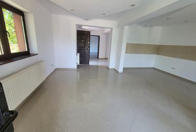 Casa individuala, ideala sediu firma Rahova- Teius - 4