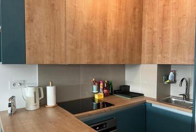 Garsoniera Bartolomeu de inchiriat - 2