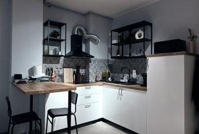 Apartament de inchiriat cu 2 camere, open space, zona Torontalului - 9
