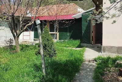 Casă cu 3 camere cu Teren 1650 Mp în Racovițeni - 5