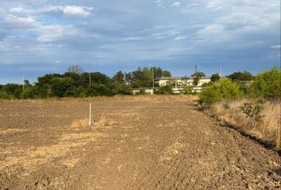 Spațiu comercial, în Central