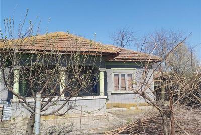 Casă cu 5 camere cu Teren 1300 Mp în Vieru - 2