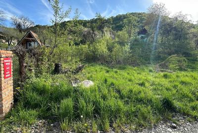 Spațiu comercial, în Central - 6