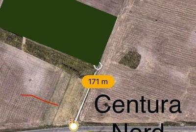 Teren agricol extravilan de 30000 mp, în Dumbrăvița - 2