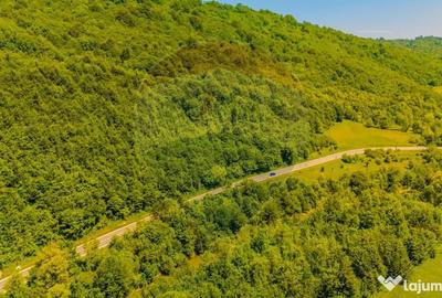 Teren de 3750 mp, în Brădet - 4