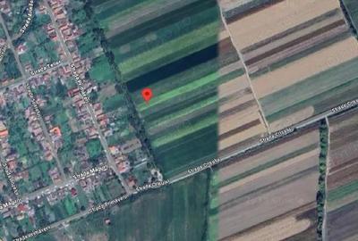 Teren extravilan-Loc. Buteni, jud. Arad - 3