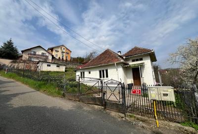 Casă cu 3 camere în Săsar - 8