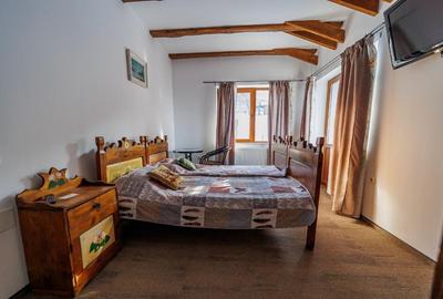 Casă cu 2 camere cu Teren 1215 Mp în Turcheș - 13