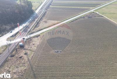 Teren de 19319 mp, în Laslea - 7