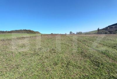 Teren intravilan de vanzare - 13