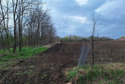 Teren de 726 mp, în Sinești - 2