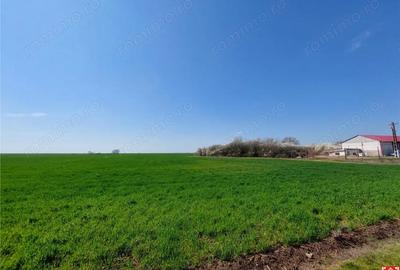 Teren de 30700 mp, în Central - 3